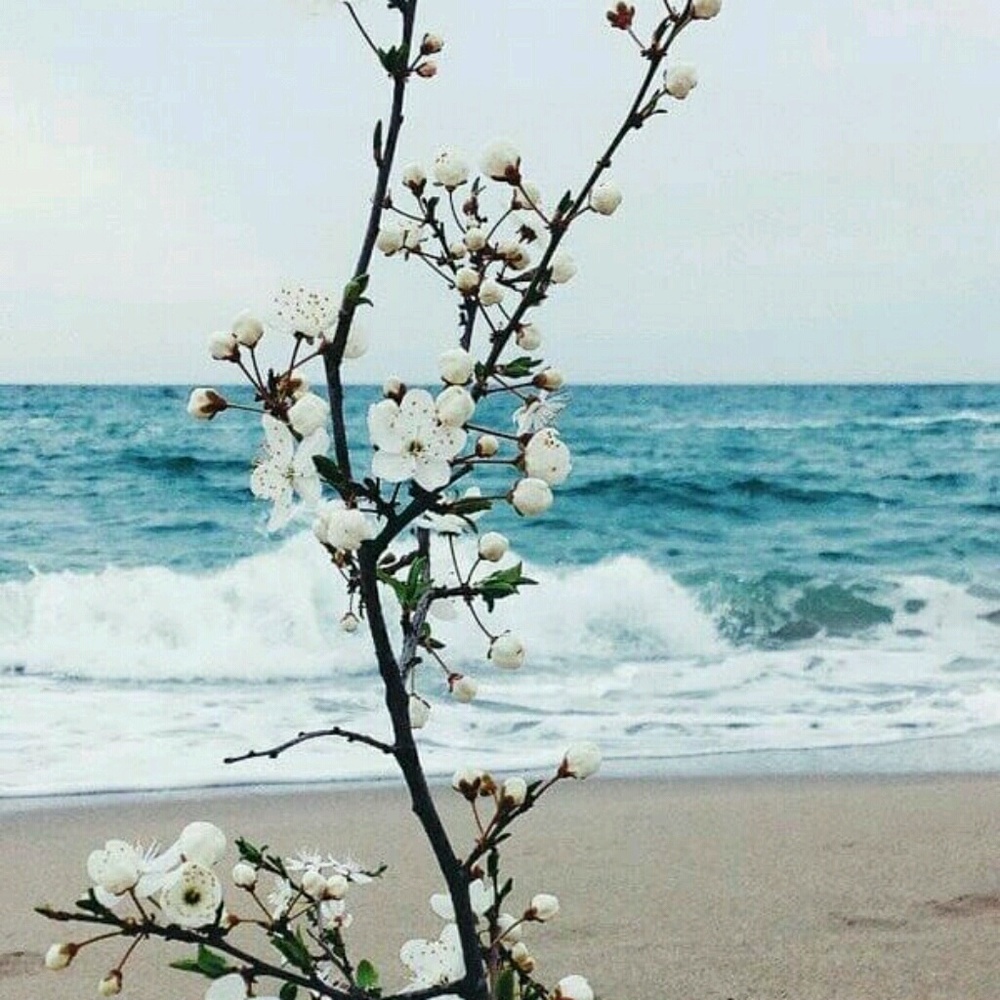 Meet your Posher, Cynthia